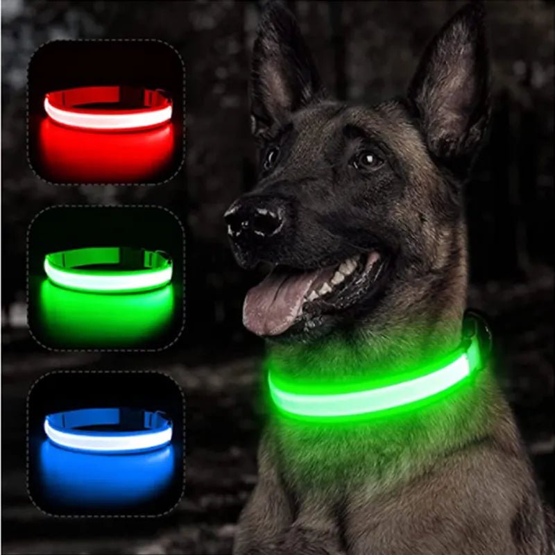 Collier LED rechargeable - Le monde des chiens